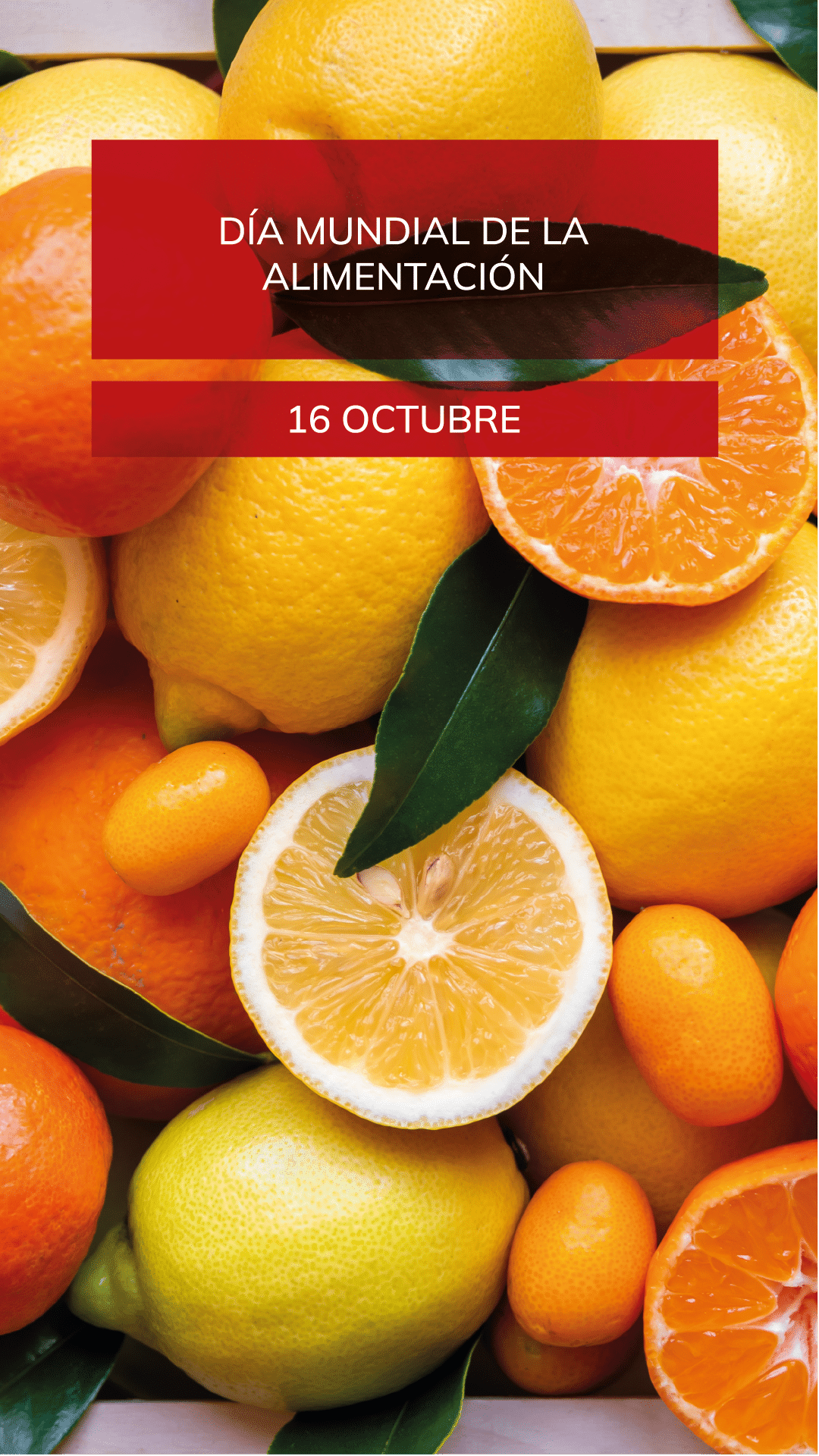 día mundial de la alimentación